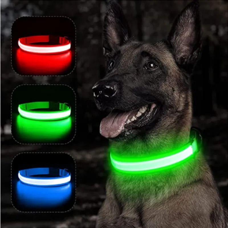 Coleira LED de Cachorros para Passeios Noturnos • GlowDog