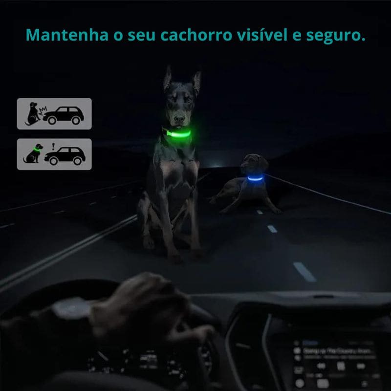 Coleira LED de Cachorros para Passeios Noturnos • GlowDog