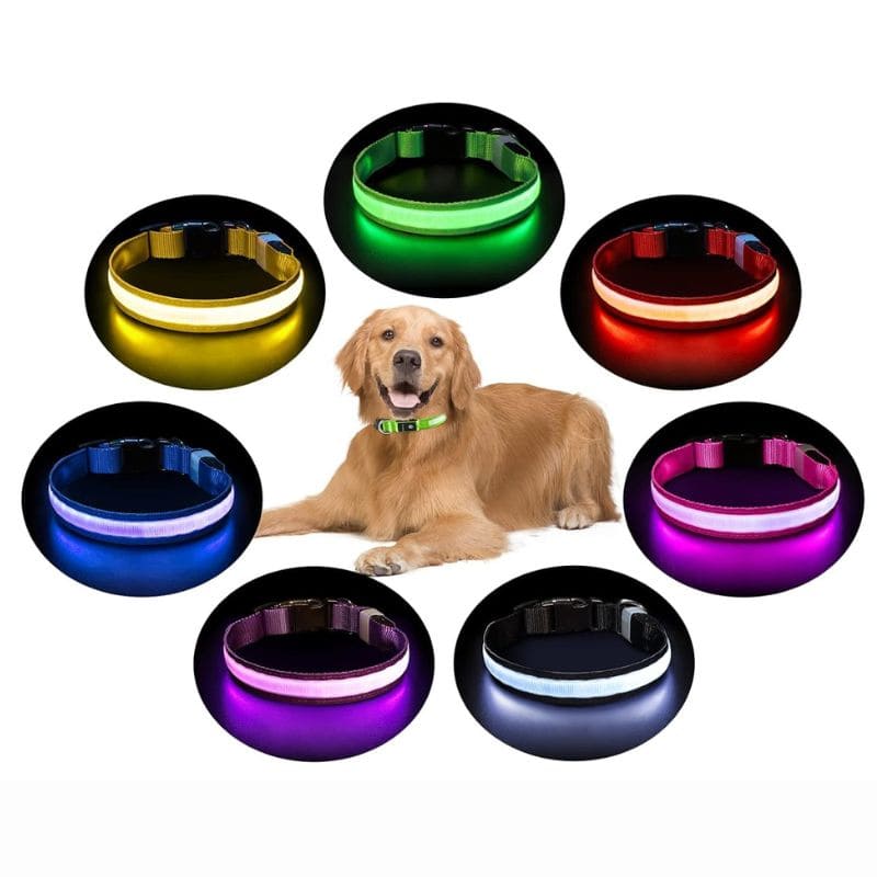 Coleira LED de Cachorros para Passeios Noturnos • GlowDog