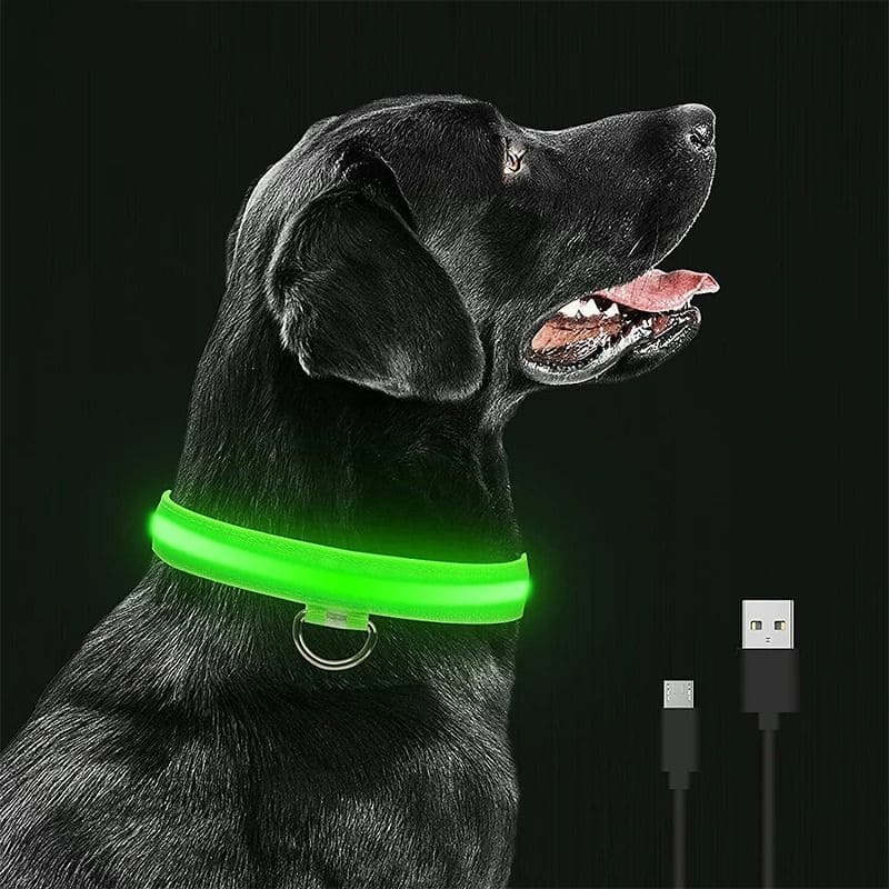 Coleira LED de Cachorros para Passeios Noturnos • GlowDog