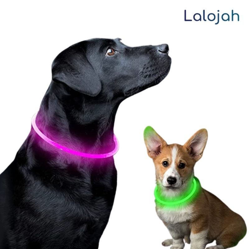 Coleira LED para Cachorros • ShineCollar