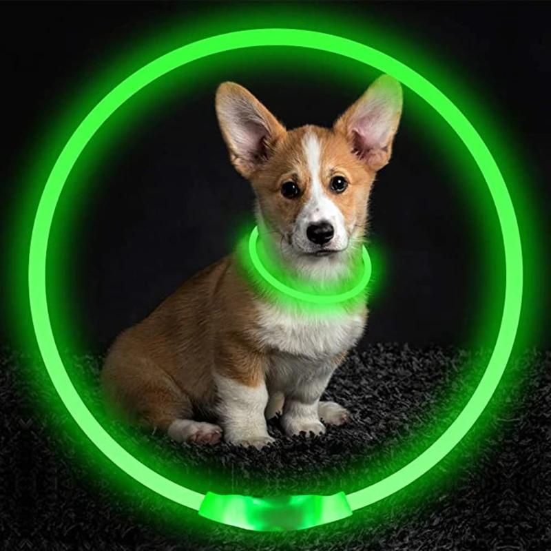 Coleira LED para Cachorros • ShineCollar