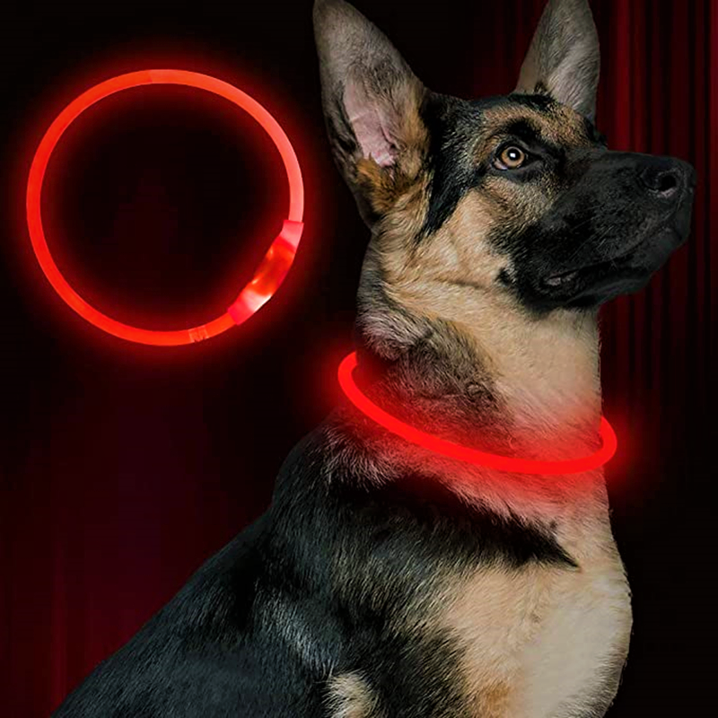 Coleira LED para Cachorros • ShineCollar