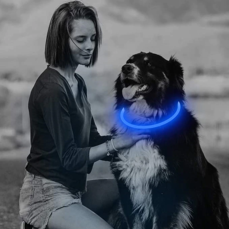 Coleira LED para Cachorros • ShineCollar